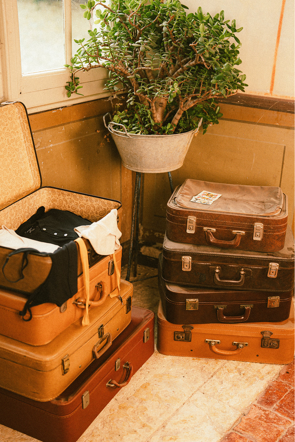 Sous-vêtements au style rétro côtelés — Maison Côtelée