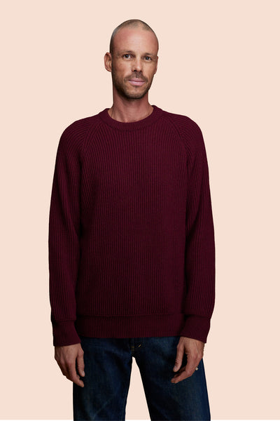 Pétrone Pull Réconfortant bordeaux foncé homme
